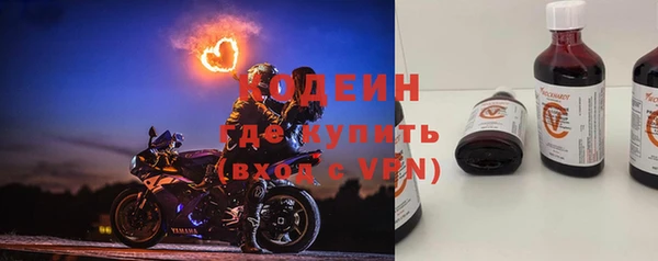 прущие грибы Армянск