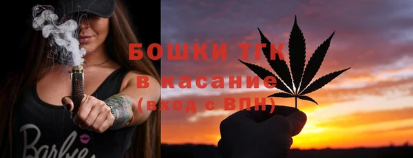 прущие грибы Армянск