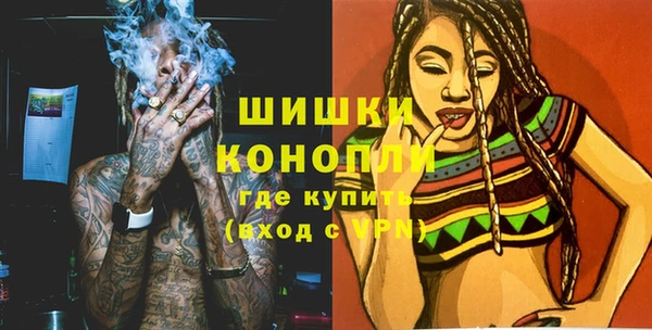 прущие грибы Армянск