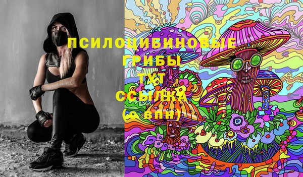 прущие грибы Армянск